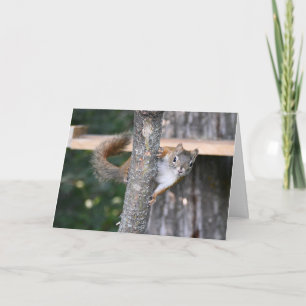 Cartão de saudação do Sr. Bickles