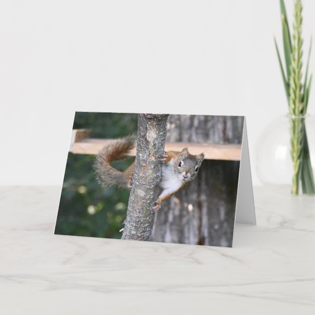 Cartão de saudação do Sr. Bickles (Frente)