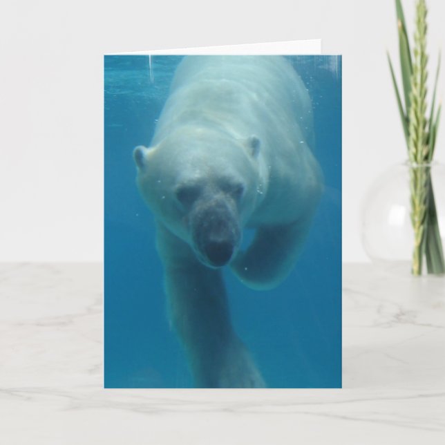 Cartão de Saudação do Urso Polar (Frente)