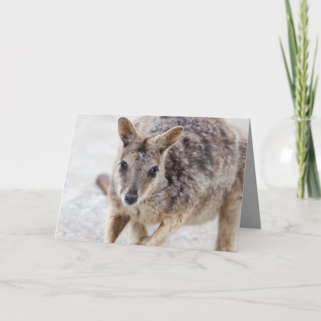 Cartão de saudação do vazio com Wallaby (Frente)