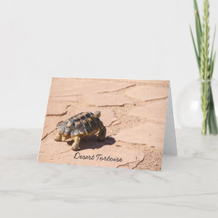 Cartão de saudação do Vazio Desert Tortoise