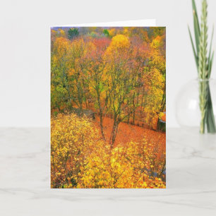 Cartão de Saudação do Vazio 'Fiery Autumn'