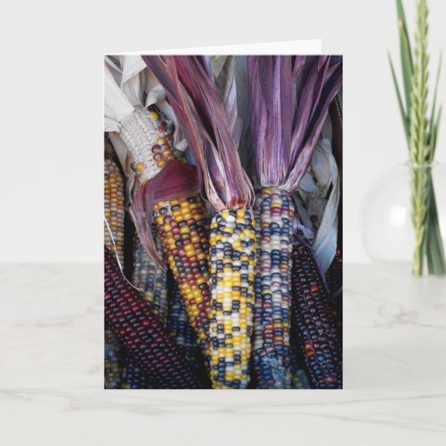 Cartão de saudação do Vazio 'Indian Corn' (Frente)