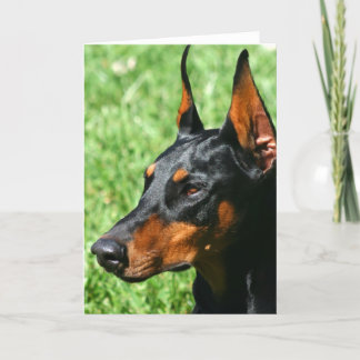 Cartão de saudação Doberman Pinscher