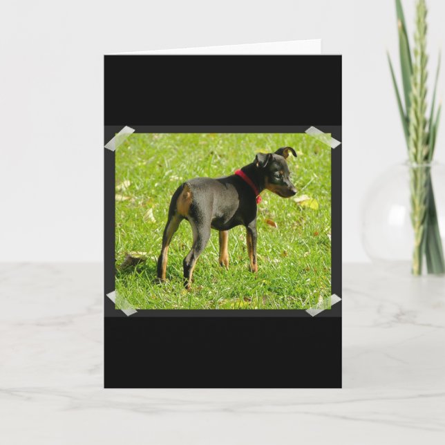 Cartão de Saudação Doberman Puppies (Frente)