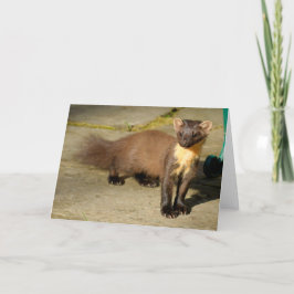 Cartão de Saudação Dobrada Pine marten