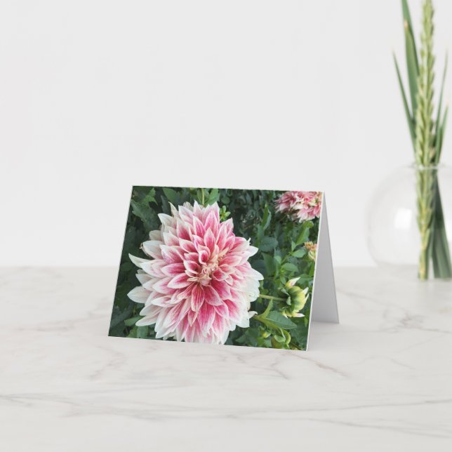 Cartão de saudação dobrado (Frente)