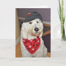 Cartão de saudação dobrado