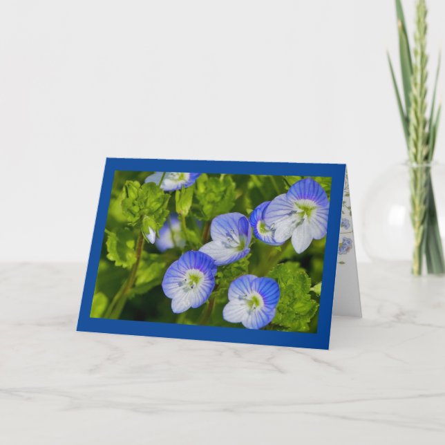 Cartão de saudação dobrado (Frente)