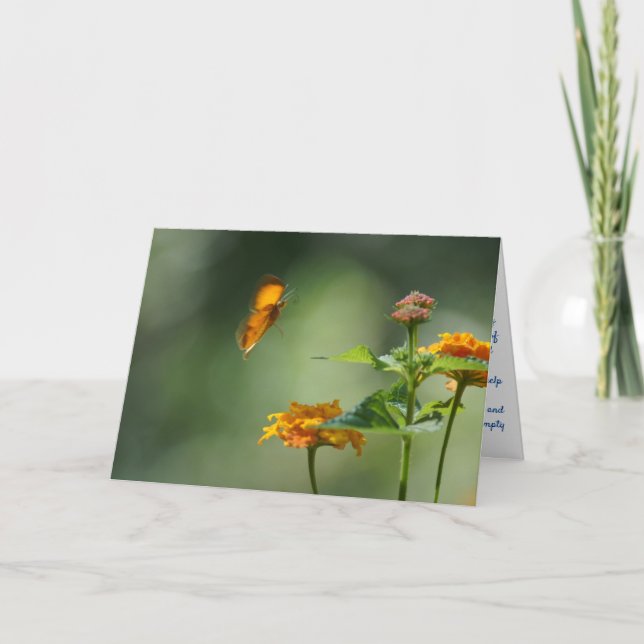 Cartão de Saudação Dobrado (Frente)