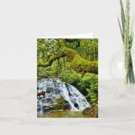 Cartão de saudação dobrado com cascata