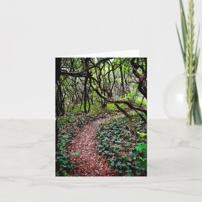 Cartão de saudação dobrado com cena ao ar livre (Frente)