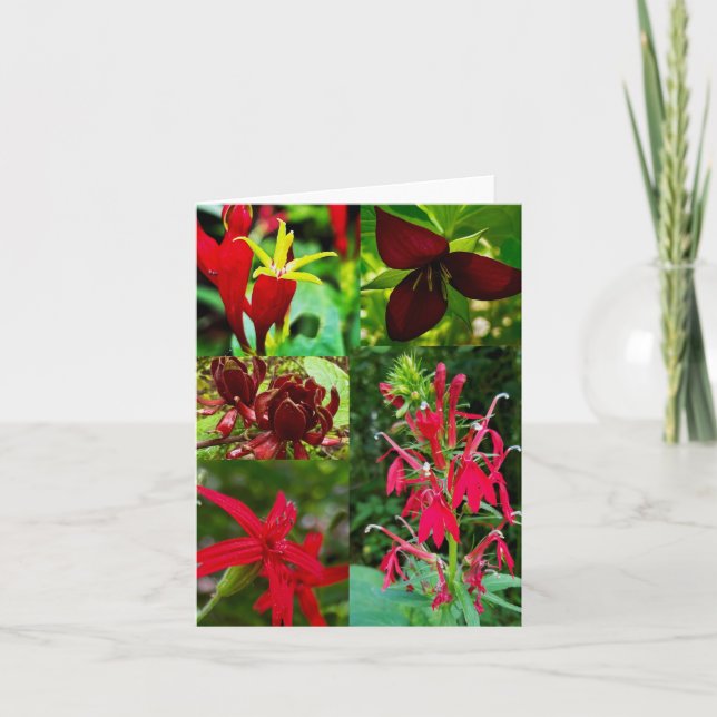 Cartão de saudação dobrado com colagem de flor sil (Frente)