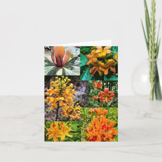 Cartão de saudação dobrado com colagem de flor sil (Frente)