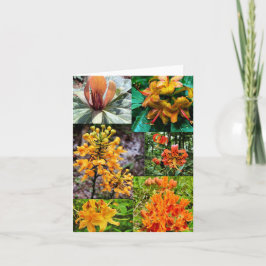 Cartão de saudação dobrado com colagem de flor sil