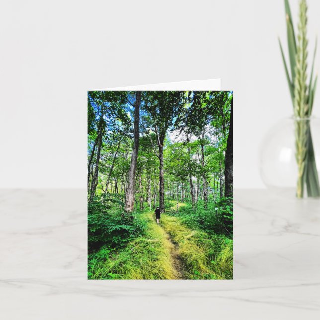 Cartão de saudação dobrado com foto da floresta (Frente)