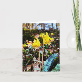 Cartão de saudação dobrado com foto de flor silves