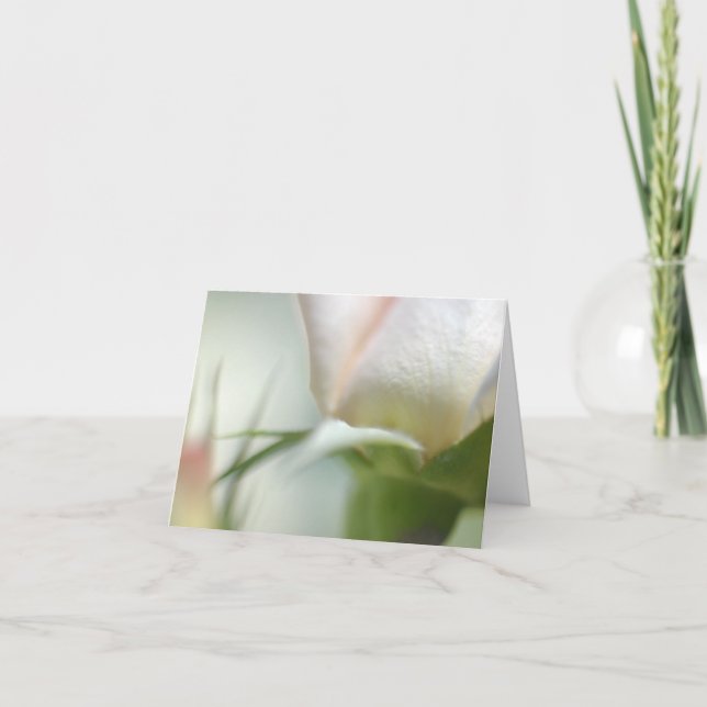 Cartão de saudação dobrado de flor branca (Frente)