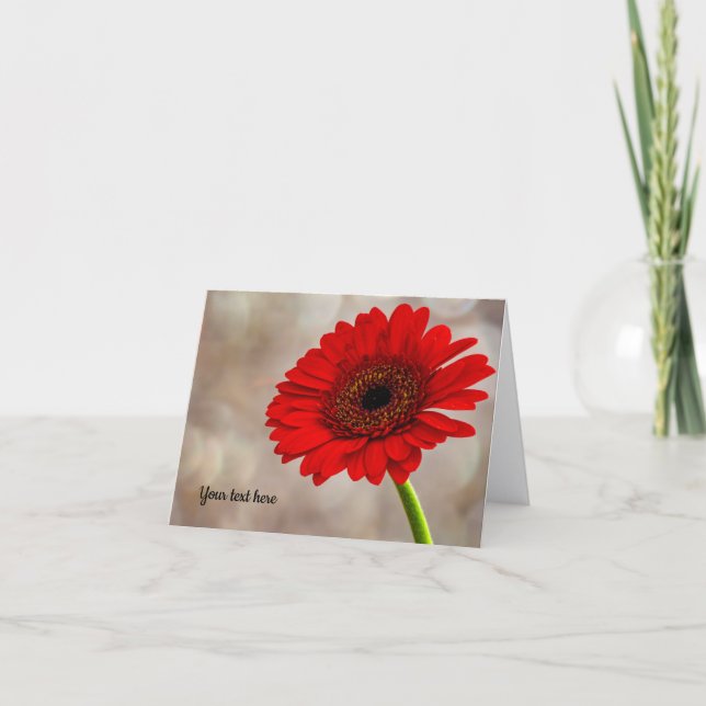 Cartão de Saudação Dobrado de Gerbera Vermelha (Frente)