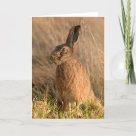 Cartão de Saudação Dobrado de Lebre Castanha
