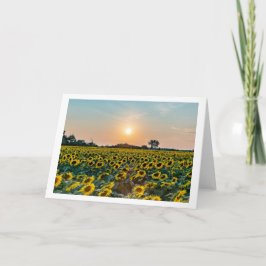 Cartão de saudação dobrado de vazio "Campo de Flor