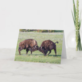 Cartão de Saudação Dobrado do American Bison