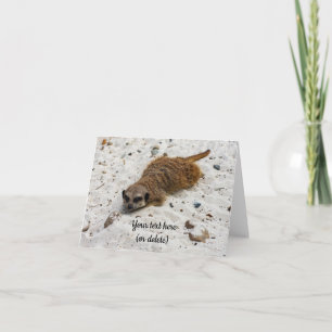 Cartão de Saudação Dobrado do Meerkat