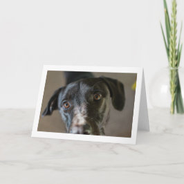 Cartão de saudação dobrado do vazio "Melhor Amigo"