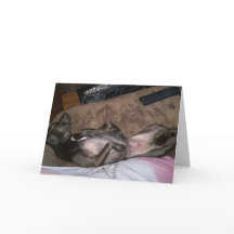 Cartão de Saudação Dobrado para Cães de Emergência