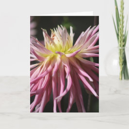 Cartão de saudação dobrado standard de 12,7 cm x 1