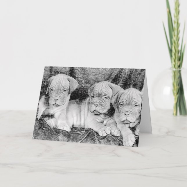 Cartão de saudação Dogue de bordeaux (Frente)