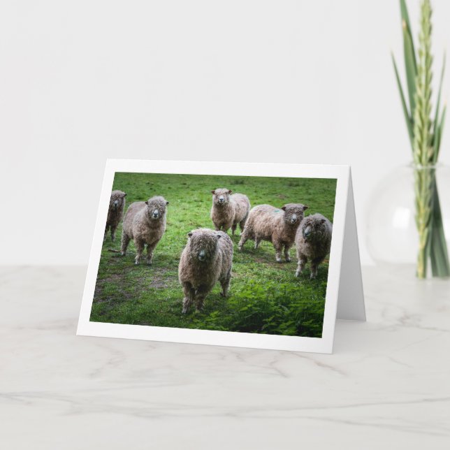 Cartão de saudação dos animais, dentro de vazio. (Frente)