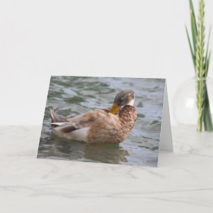 Cartão de Saudação Duck