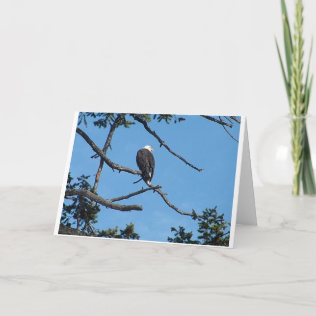 Cartão de Saudação Eagle (Frente)