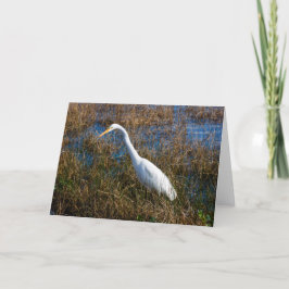 Cartão de Saudação Egret