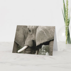 Cartão de Saudação Elefante