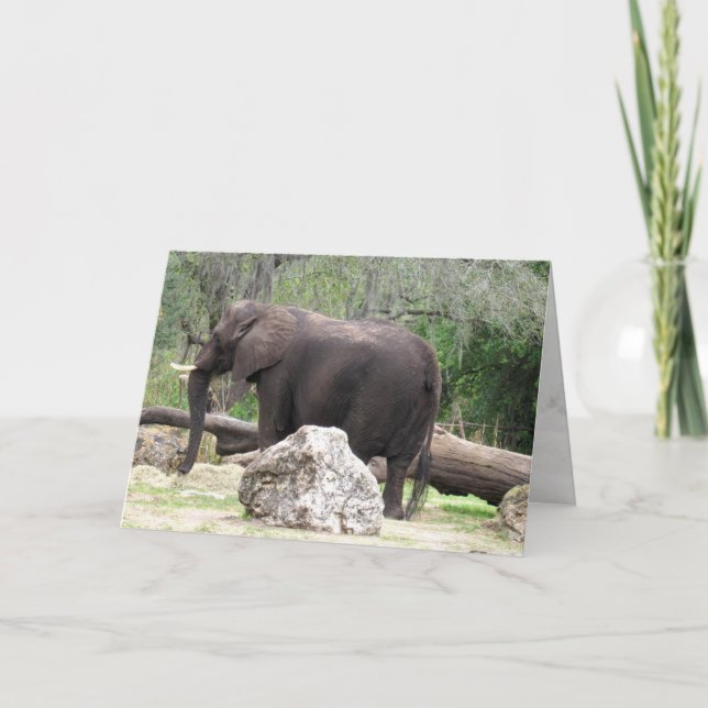 Cartão de saudação elefante (0390) (Frente)