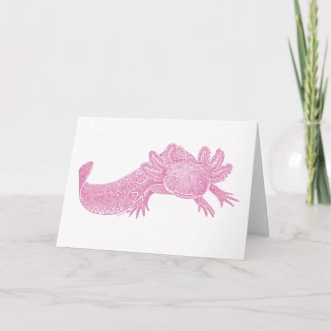 Cartão de Saudação em Branco Axolotl - ROSA (Frente)