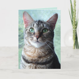 Cartão de Saudação em Branco com Gato Malhado de O