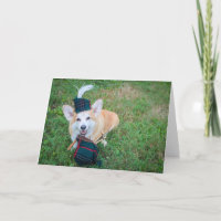 Cartão de saudação em branco de Corgi de gaita de 