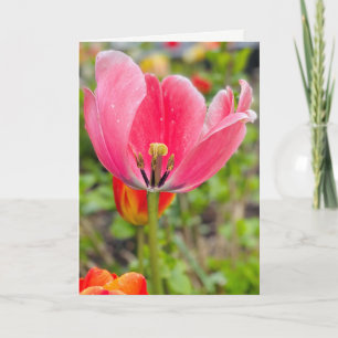 Cartão de Saudação em Branco Tulipa