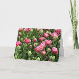 Cartão de Saudação em Branco Tulipas Galore