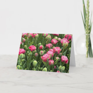 Cartão de Saudação em Branco Tulipas Galore