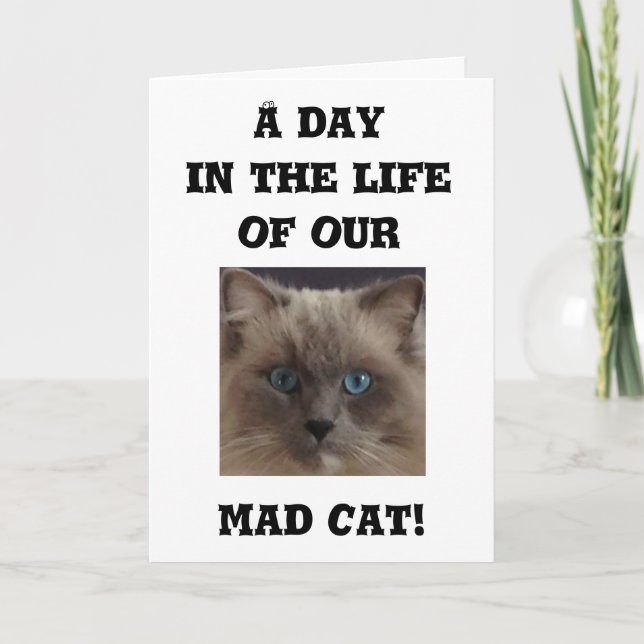 Cartão de Saudação Engraçado (Frente)