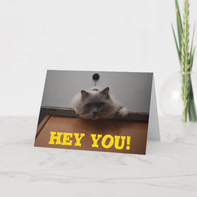 Cartão de Saudação Engraçado (Frente)