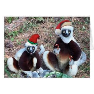 Cartão de Saudação Engraçado para Limurs de Natal