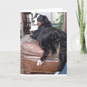 Cartão de saudação, envelopes brancos padrão inclu