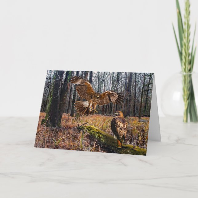 Cartão de Saudação "Falcões de Traje Vermelha" (Frente)