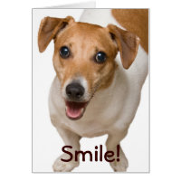 Cartão de Saudação Feliz Jack Russell Terrier