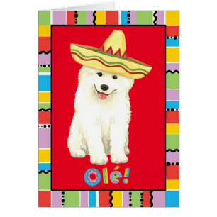 Cartão de Saudação Fiesta Samoyed